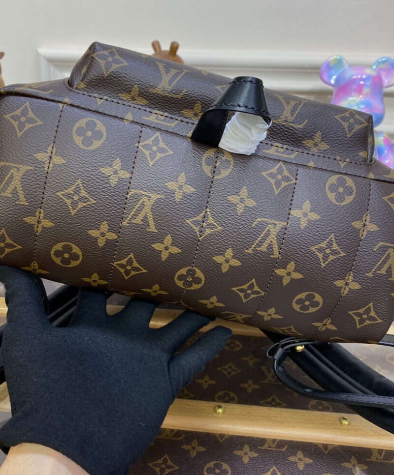 Louis Vuitton Palm Springs MM M44874 Brown
